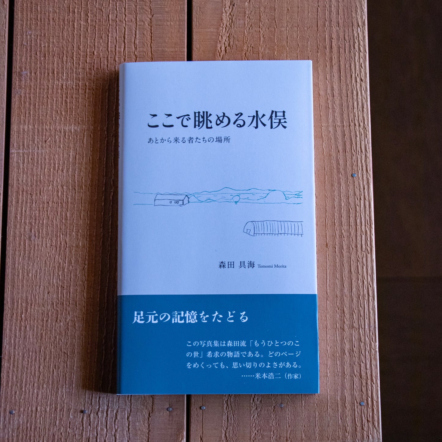 Morita Tomomi "Minamata Viewed From Here: A Place for Those Who Come Later"