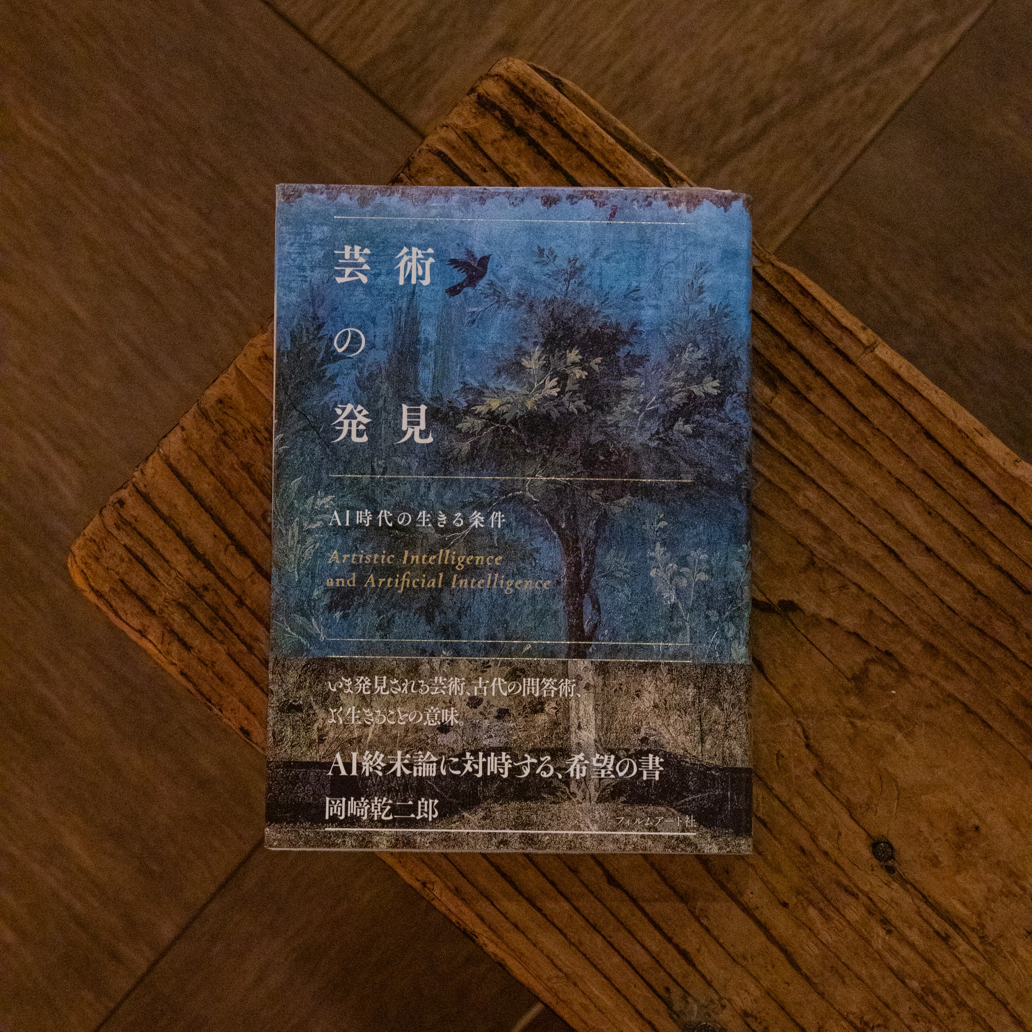 著者サイン本】岡﨑乾二郎「芸術の発見 AI時代の生きる条件」 – 余波舎