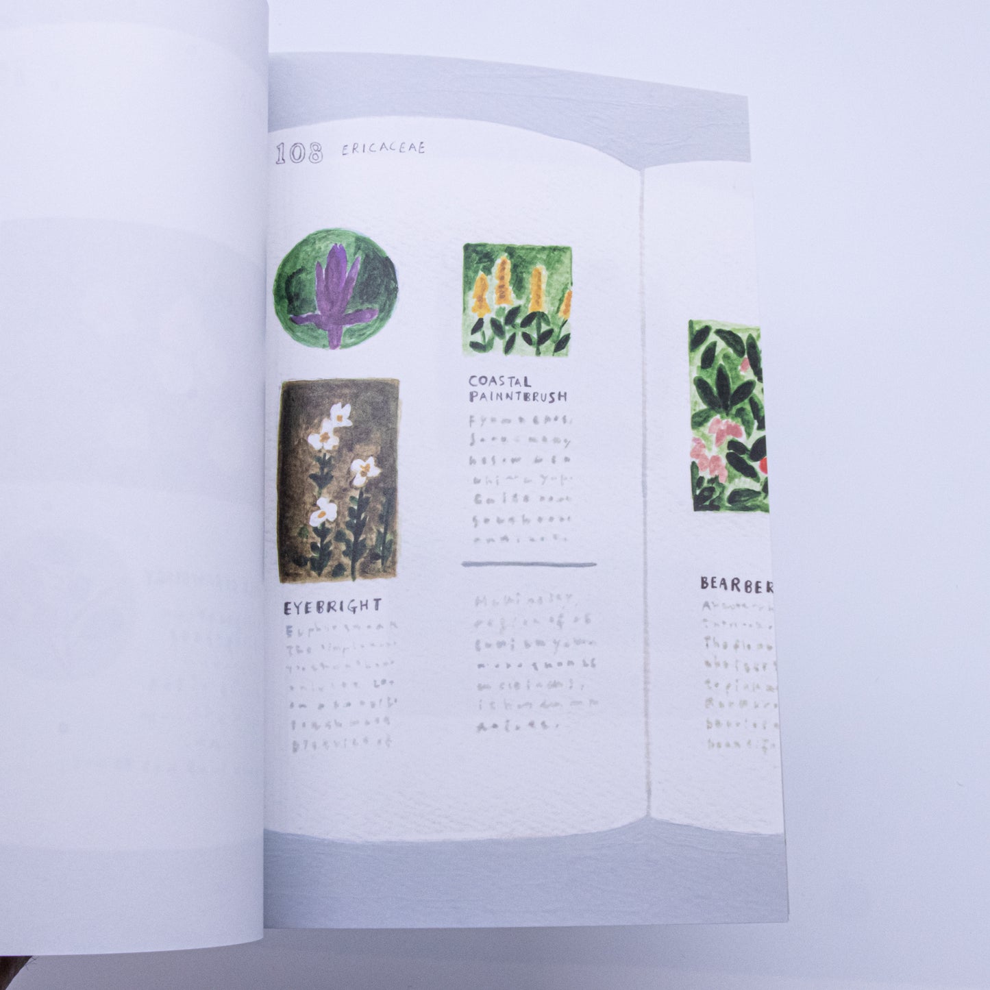 【新本 / new book】Afternoon Reading（Signed / サイン本）