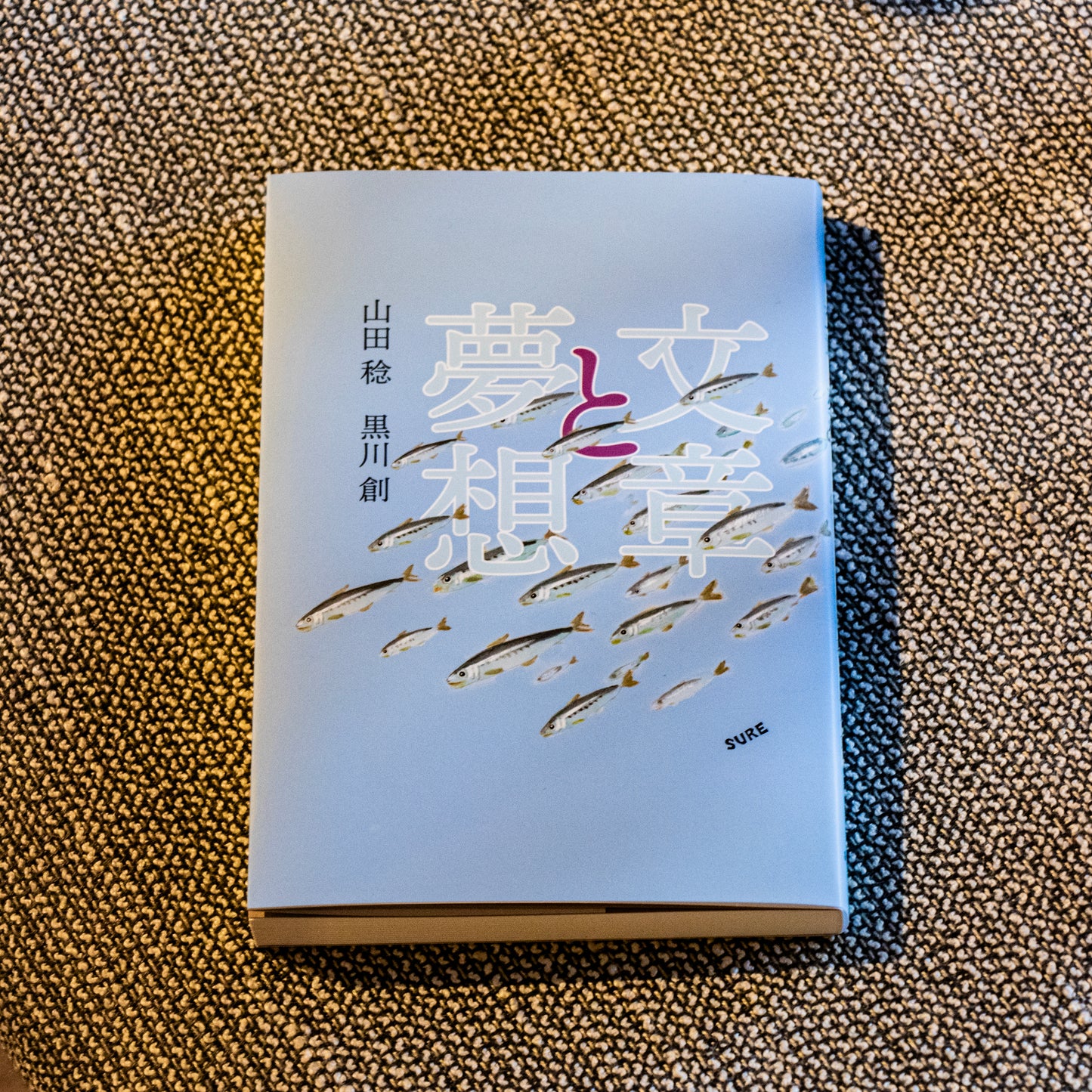 山田稔  黒川創 「文章と夢想」