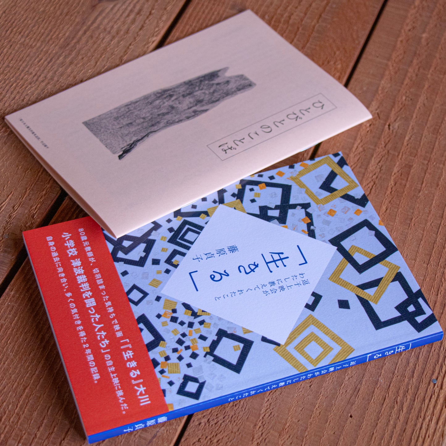 藤原貞子『「生きる」 逗子上映会がわたしに教えてくれたこと』