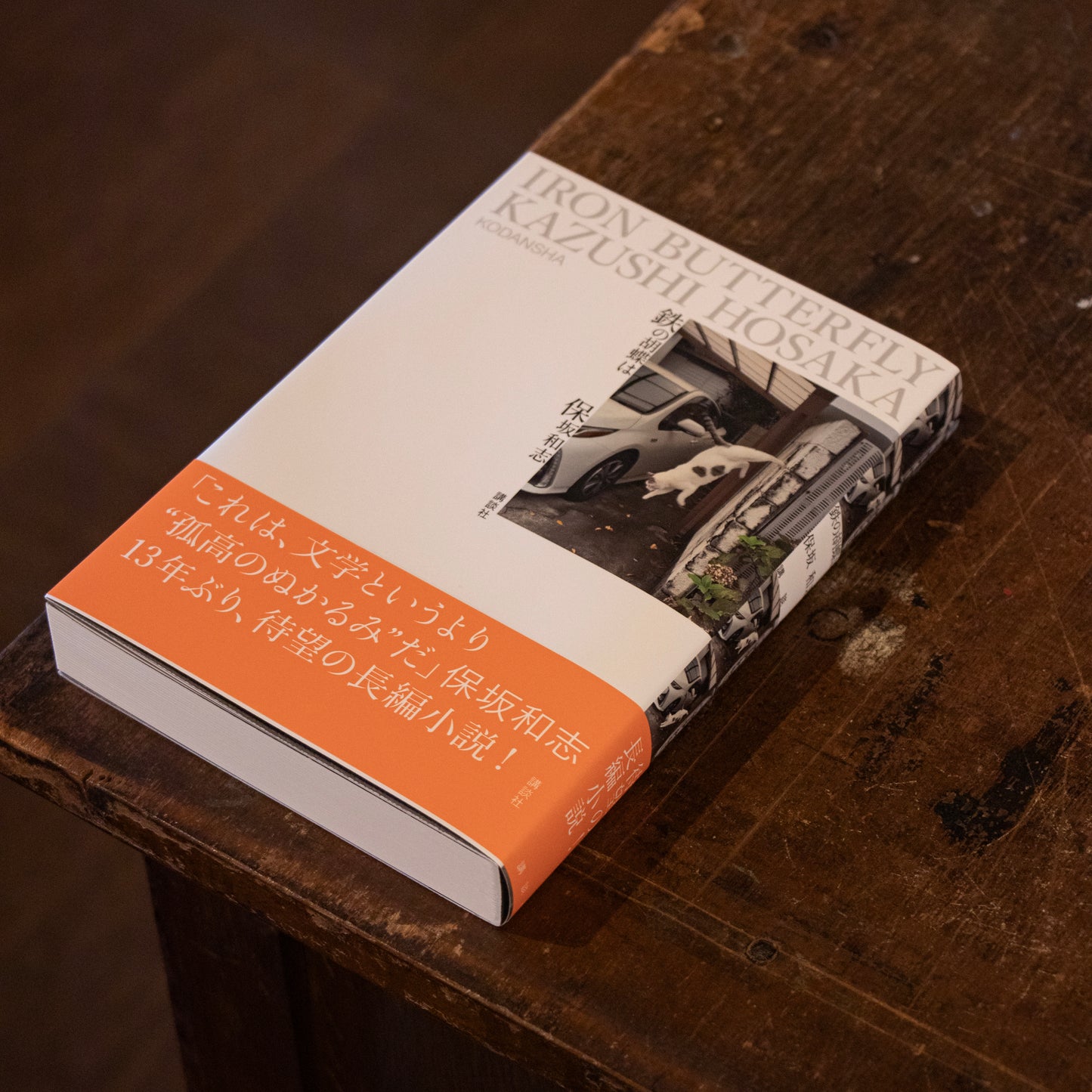 保坂和志「鉄の胡蝶は」