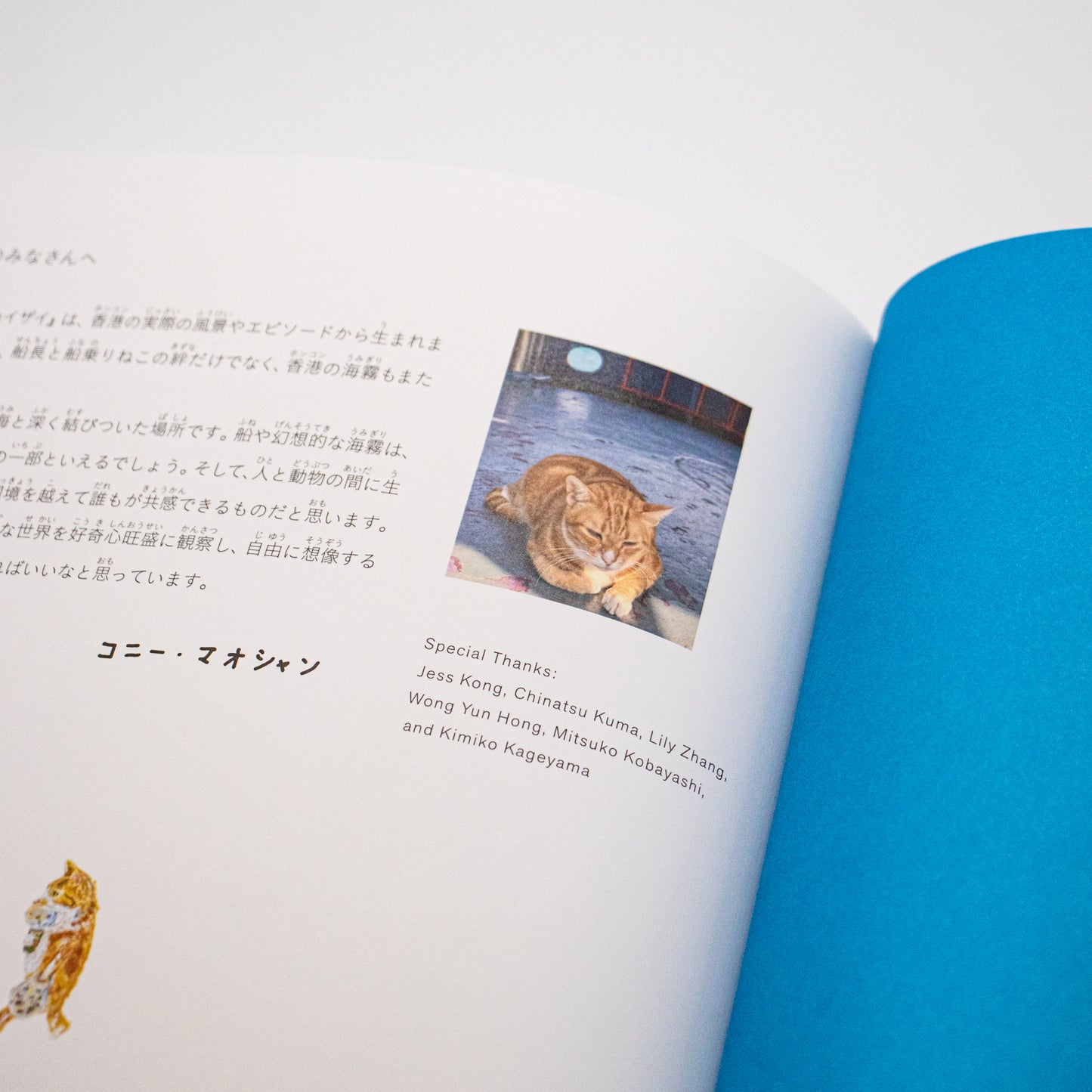 コニー・マオシャン「ふなのりねこ チョイザイ」