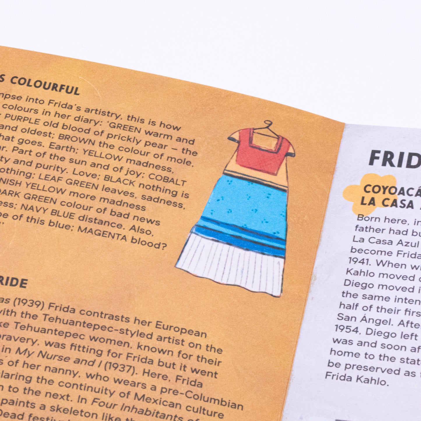 THE ARTIST BOX: FRIDA KAHLO