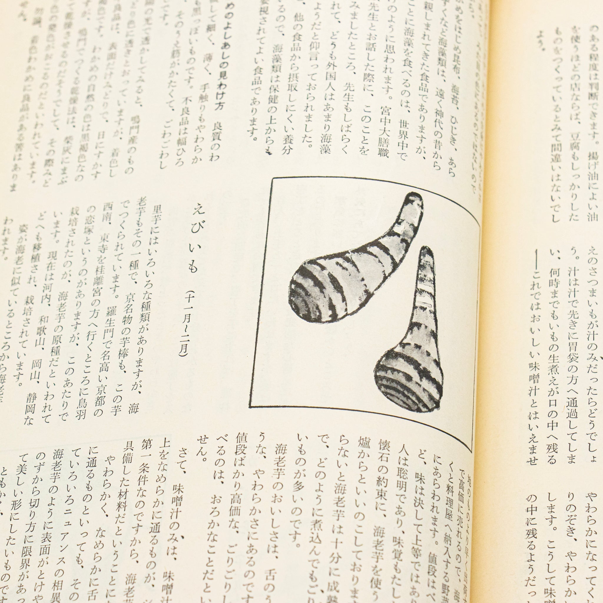 辻嘉一「味噌汁 三百六十五日」 – 余波舎 / NAGORO BOOKS