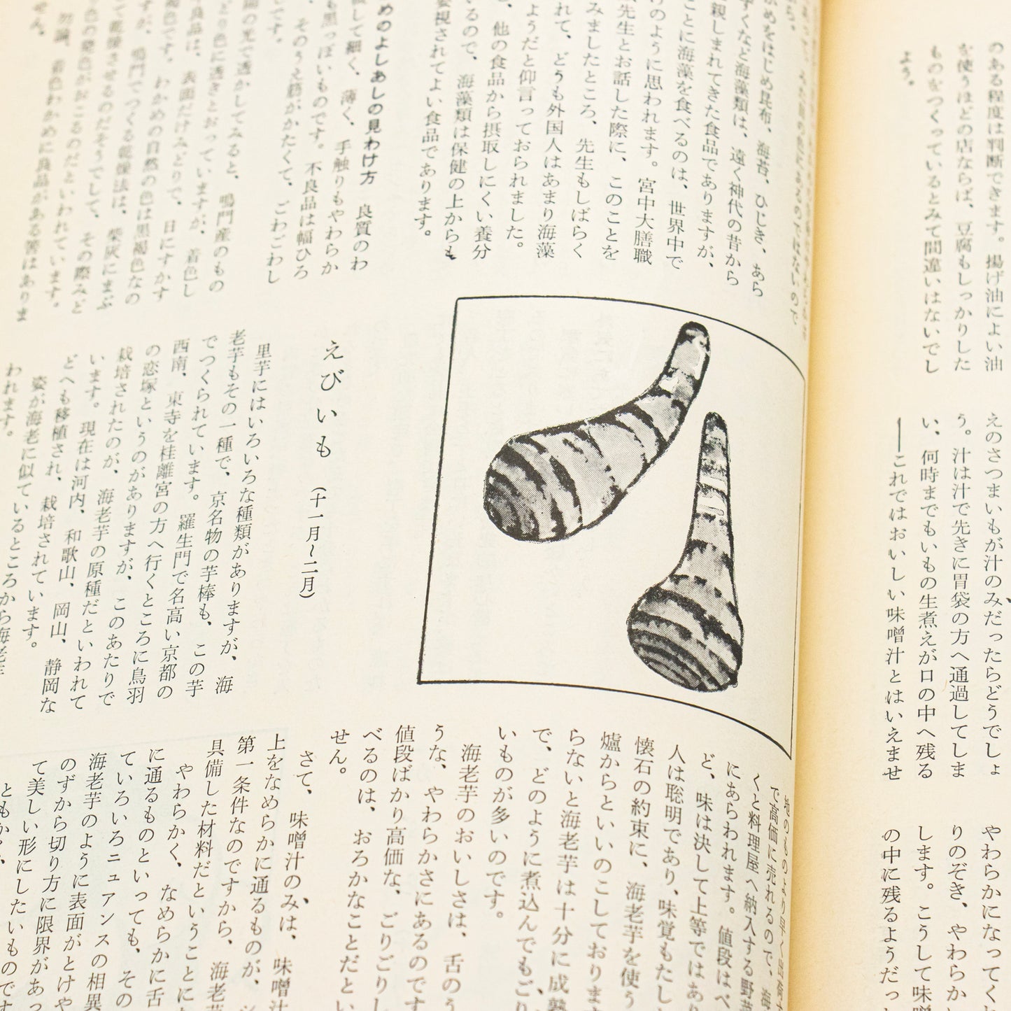 辻嘉一「味噌汁 三百六十五日」