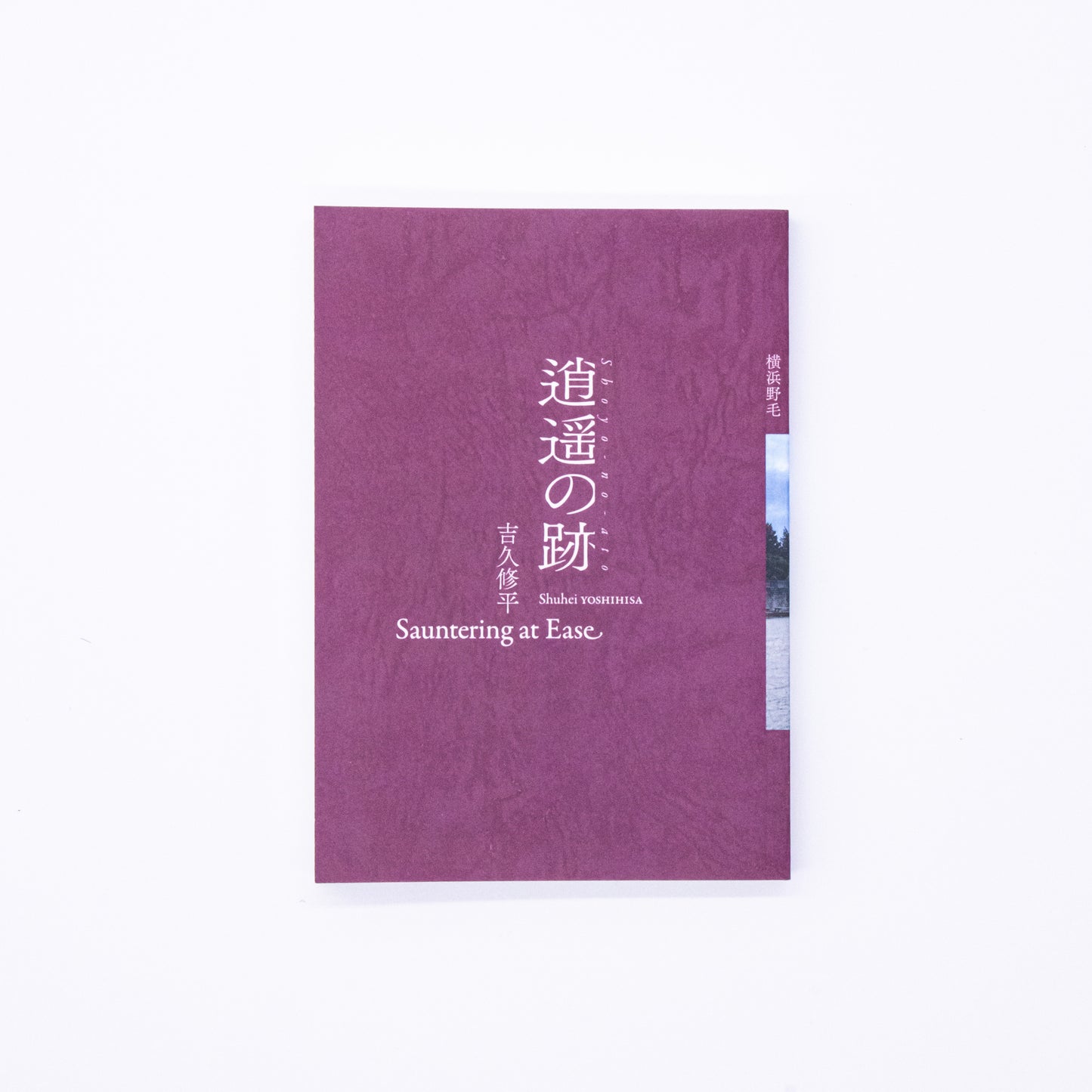 Shuhei Yoshihisa, "Traces of a Stroll"