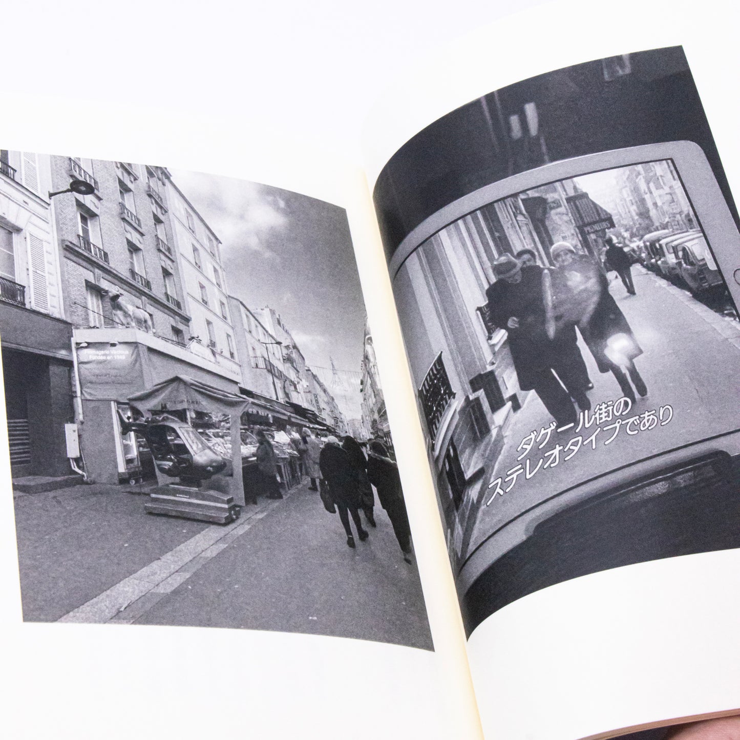 Shuhei Yoshihisa, "Traces of a Stroll"